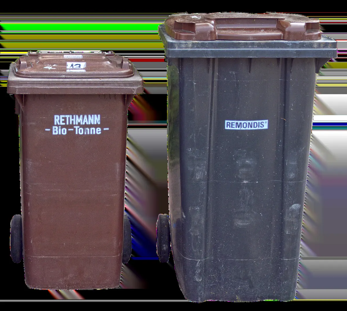 Mercia Bin Collection Changes: A Month-by-Month Checklist for Every Household